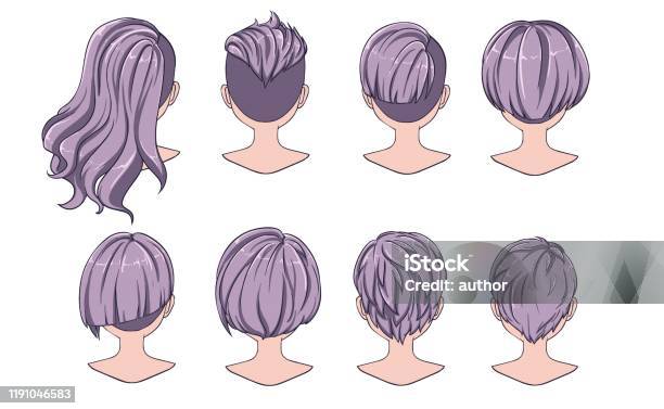 Beautiful Hairstyle Of Woman Hair Rear View Stock Illustration - Download  Image Now - Short Hair, Women, Human Hair - iStock