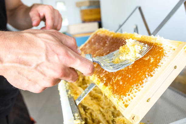istock Cropped Hands Of Men Holding Beehive 1191047335