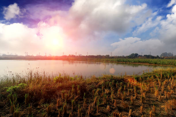 Beautiful view of nature during springtime under the beautiful cloudscape outdoor in nature.