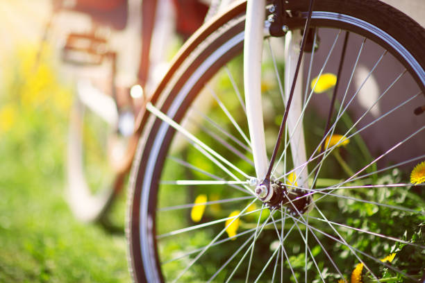 fahrrad im wald im frühling - wheel cycling nobody outdoors stock-fotos und bilder