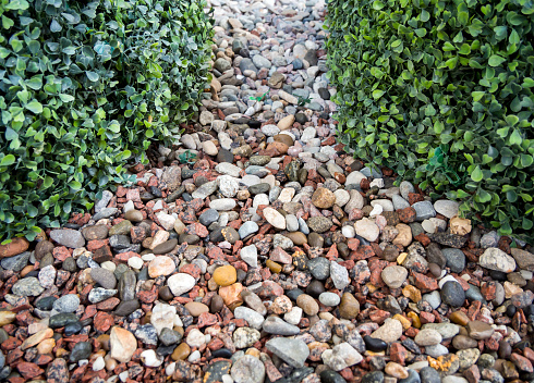Decorative sprinkling of flowerbed paths with gravel