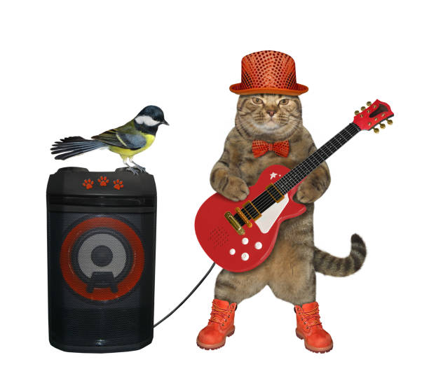 istock Cat near Santa Claus 1191050874