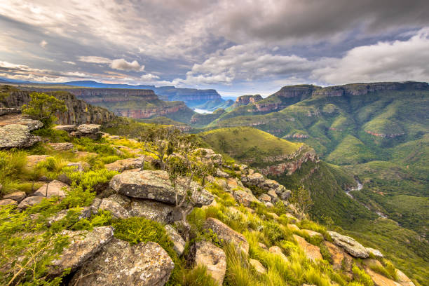 istock Natural vegetation Blyde river canyon 1191050904