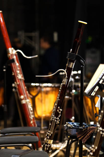 bassoons standing on stage - bassoon imagens e fotografias de stock