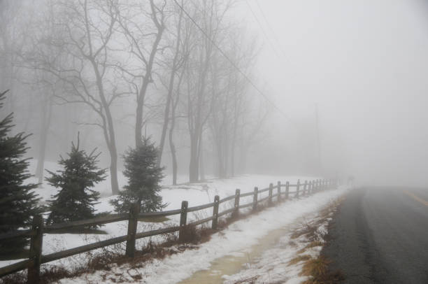 istock Snow and Fog 1191053216