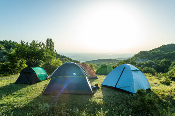 산에 많은 텐트. 숲에서 햇빛 아침입니다. - tent camping lifestyles break 뉴스 사진 이미지