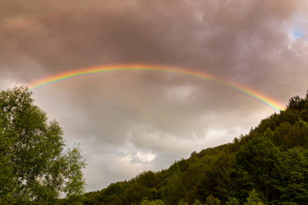 istock Beautiful rainbow profiled on stormy sky, in the mountains 1191053821