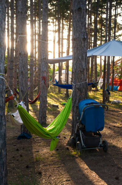istock Hammocks on trees in the forest. Sunshine morning in the forest. 1191053831
