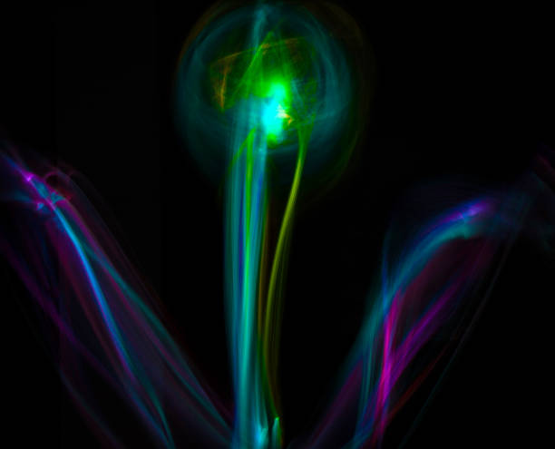istock Multicolored Flowers by light painting. 1191054882