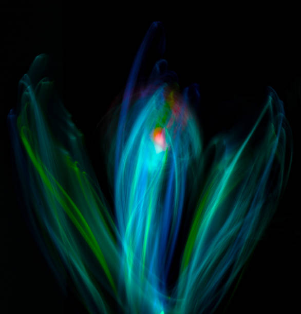istock Long exposure light painting a flower. 1191054935