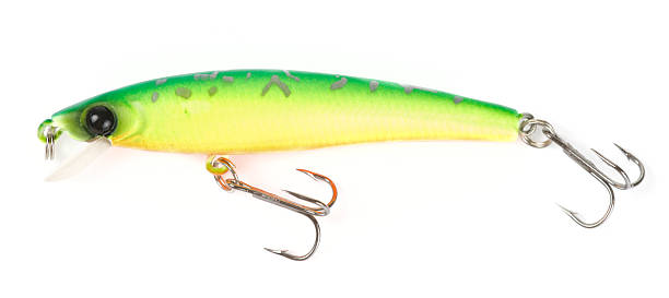 istock Plastic fishing lure (wobbler) isolated on white 119106256