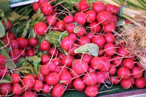 istock farmers market 1191063768
