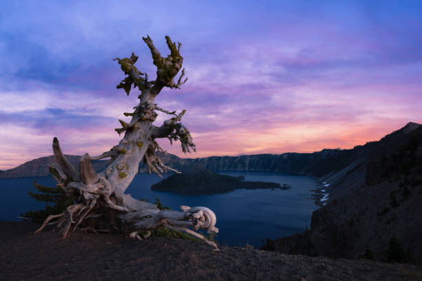 Beautiful sunset colors over Crater Lake and Wizard Island.