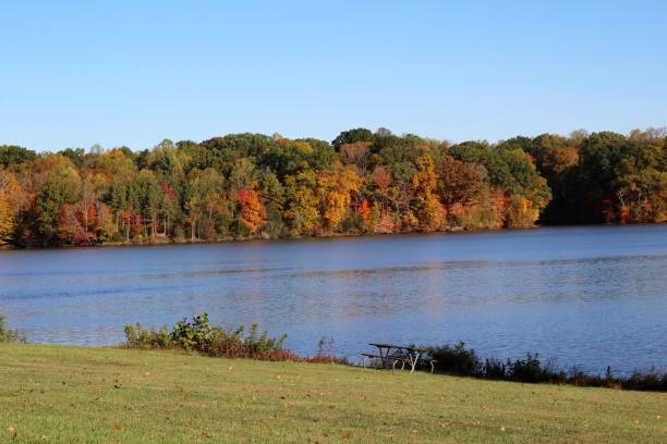 istock Beautiful Autumn Lake View 1191069915