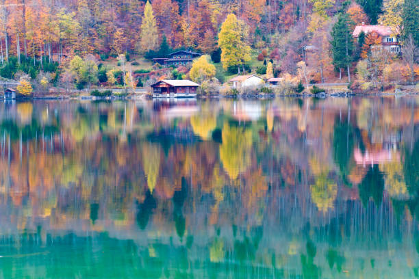 istock Small village in a forest at a mountain lake 1191072459