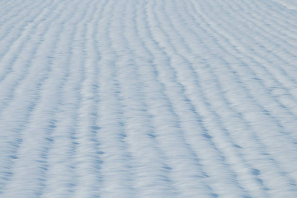 istock Grain field snow covered. Agriculture field under snow. 1191077370