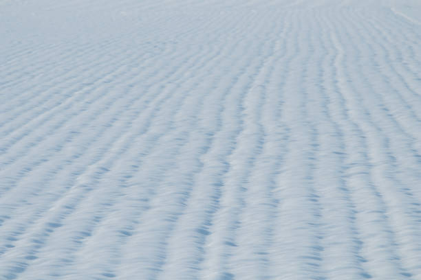 istock Grain field snow covered. Agriculture field under snow. 1191077430