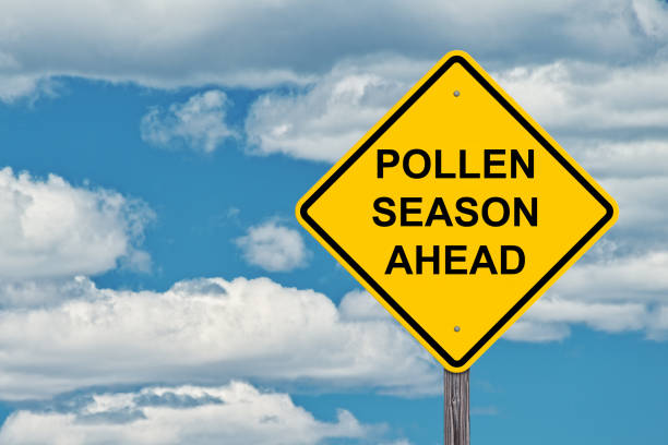 istock Pollen Season Ahead Warning Sign 1191078224