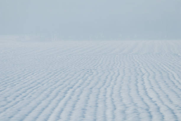 istock Grain field snow covered. Agriculture field under snow. 1191079397