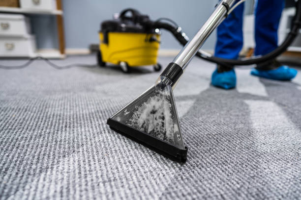 istock Person Cleaning Carpet With Vacuum Cleaner 1191080452