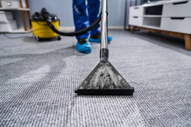 istock Person Cleaning Carpet With Vacuum Cleaner 1191080454