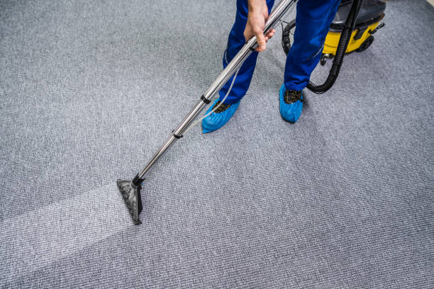 istock Person Cleaning Carpet With Vacuum Cleaner 1191080462