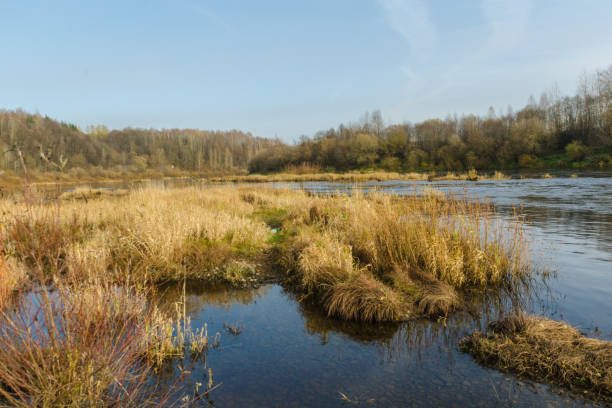 istock calm river at sunset in autumn. 1191080554