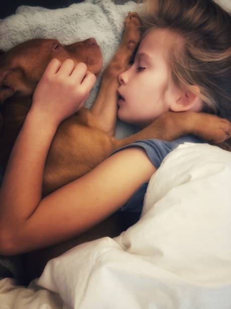 Young Slumber Puppy and Child sleep face to face 2590 stock pictures, royalty-free photos & images