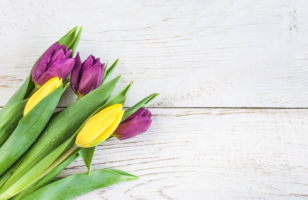 istock Bouquet of tulips with water drops 1191084627