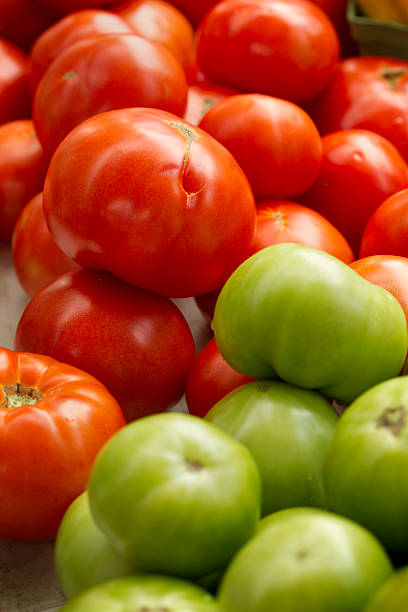 Frescas, tomates vermelhos e verdes no farmer's market - foto de acervo