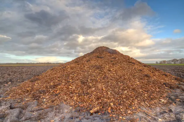 Heap of manure mixed with sawdust and woodchips, used as animal bedding, under a blue sky with clouds