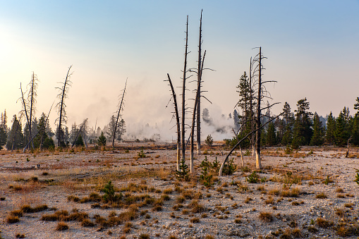 Steam rises from a desolate landscape in Yellowstone National Park