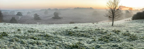 istock Glowing sunrise over the heath 1191086361
