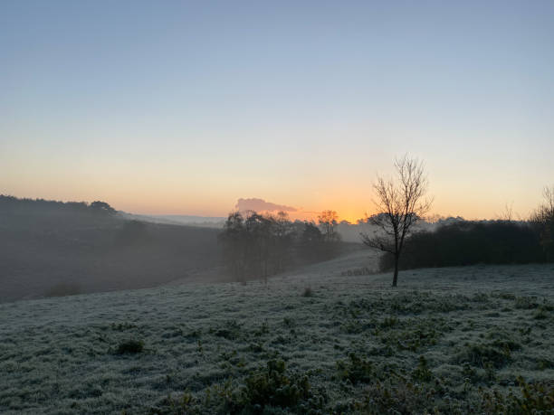 istock Glowing sunrise over the heath 1191086400