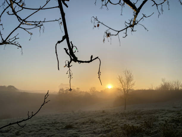 istock Glowing sunrise over the heath 1191086417