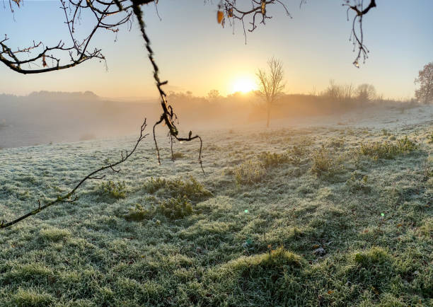 istock Glowing sunrise over the heath 1191086447