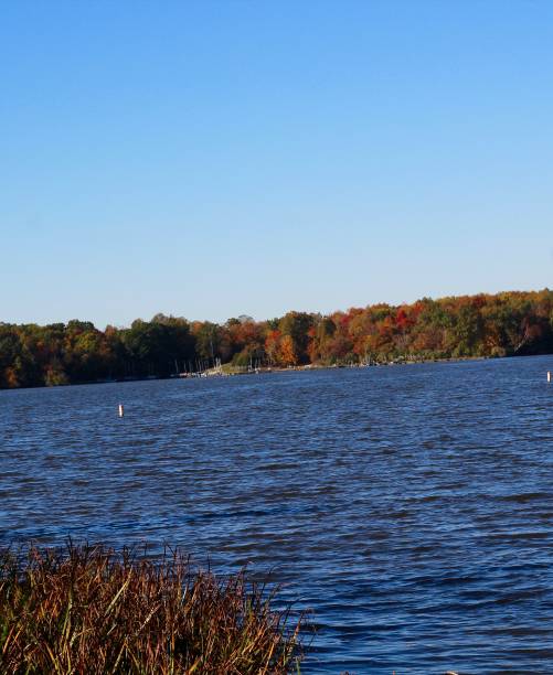 istock Beautiful Lakeside View in Autumn 1191087636