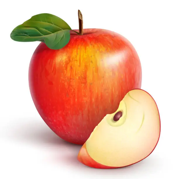 Vector illustration of red apple with a slice