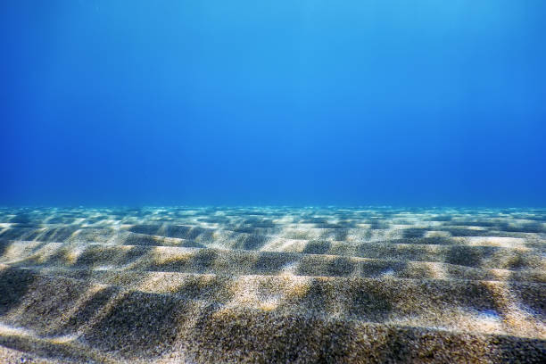istock Underwater Blue Ocean, Sandy sea bottom Underwater background 1191089856