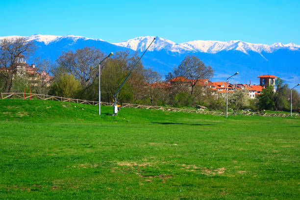 istock Spring landscape, green grass and snow mountains 1191092837
