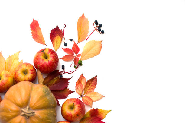 istock Flat lay frame with colorful autumn leaves and gift box on a white background 1191094210