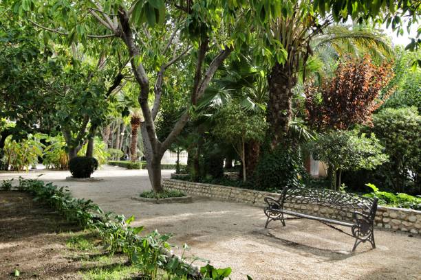 istock Beautiful and leafy municipal park in Elche between palm trees 1191095542
