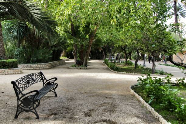 istock Beautiful and leafy municipal park in Elche between palm trees 1191096769