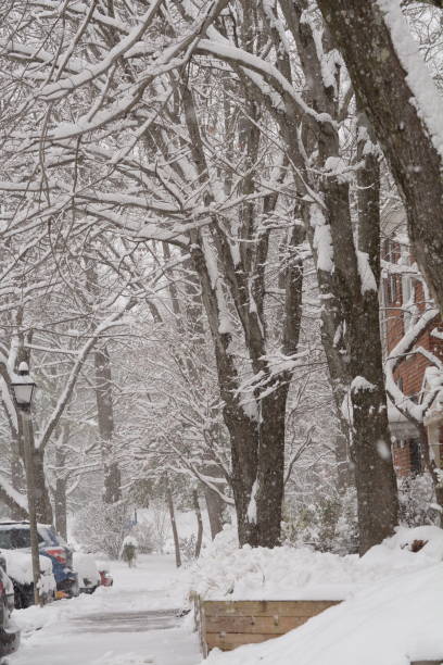 istock Winter Snow Images 1191096962