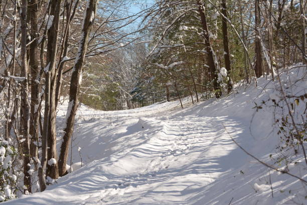 istock Winter Snow Images 1191097012