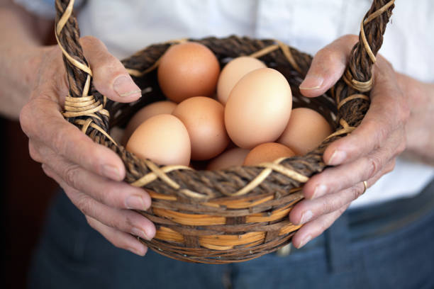 istock Elder hands holding basket with fresh eggs 1191102583