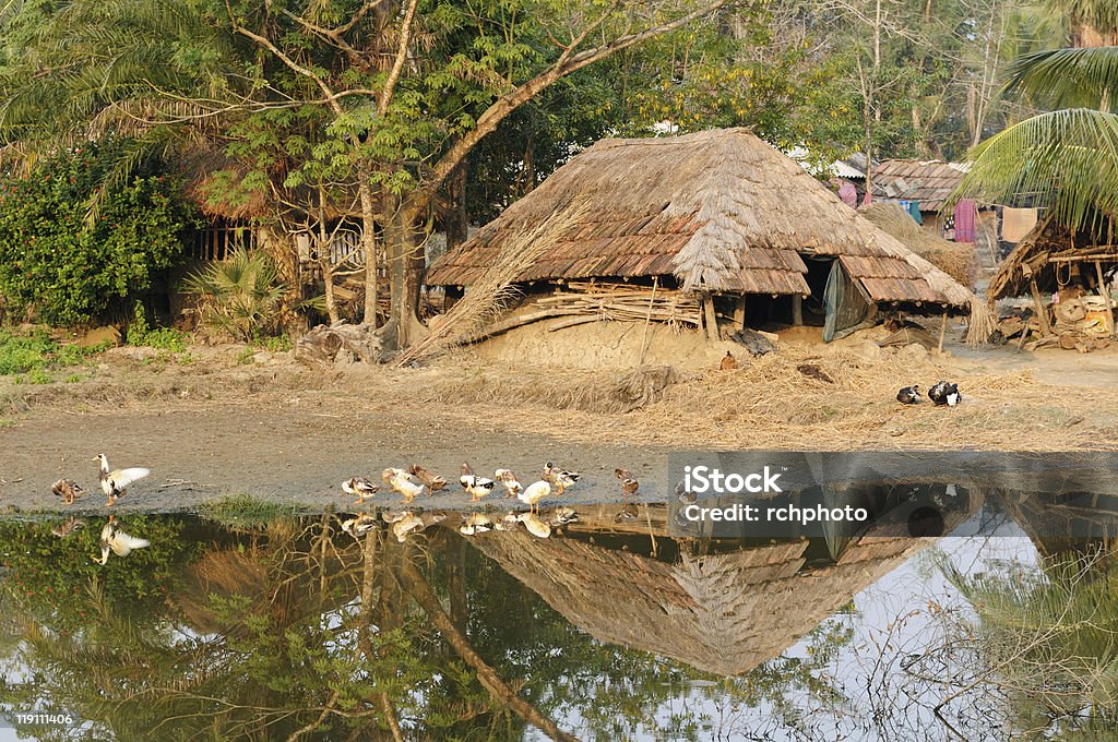 Indian village Sundarbans Jungle National Park in India. The bigest delta river on the World where live Bengal Tiger. UNESCO. Ethnic village nearest the park where the people live as same as the 100 years ago Animal Stock Photo