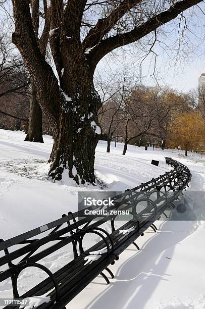 セントラルパーク - カラー画像のストックフォトや画像を多数ご用意 - カラー画像, ニューヨーク市, パークベンチ