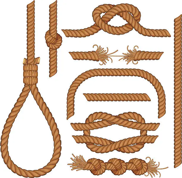 Vector illustration of Ropes and knots