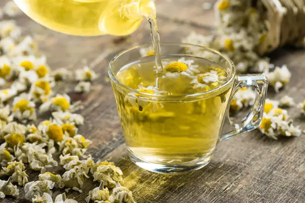 glass cup of chamomile tea with dry daisy flowers and teapot on rustic wooden background, herbal medicine hot drink concept